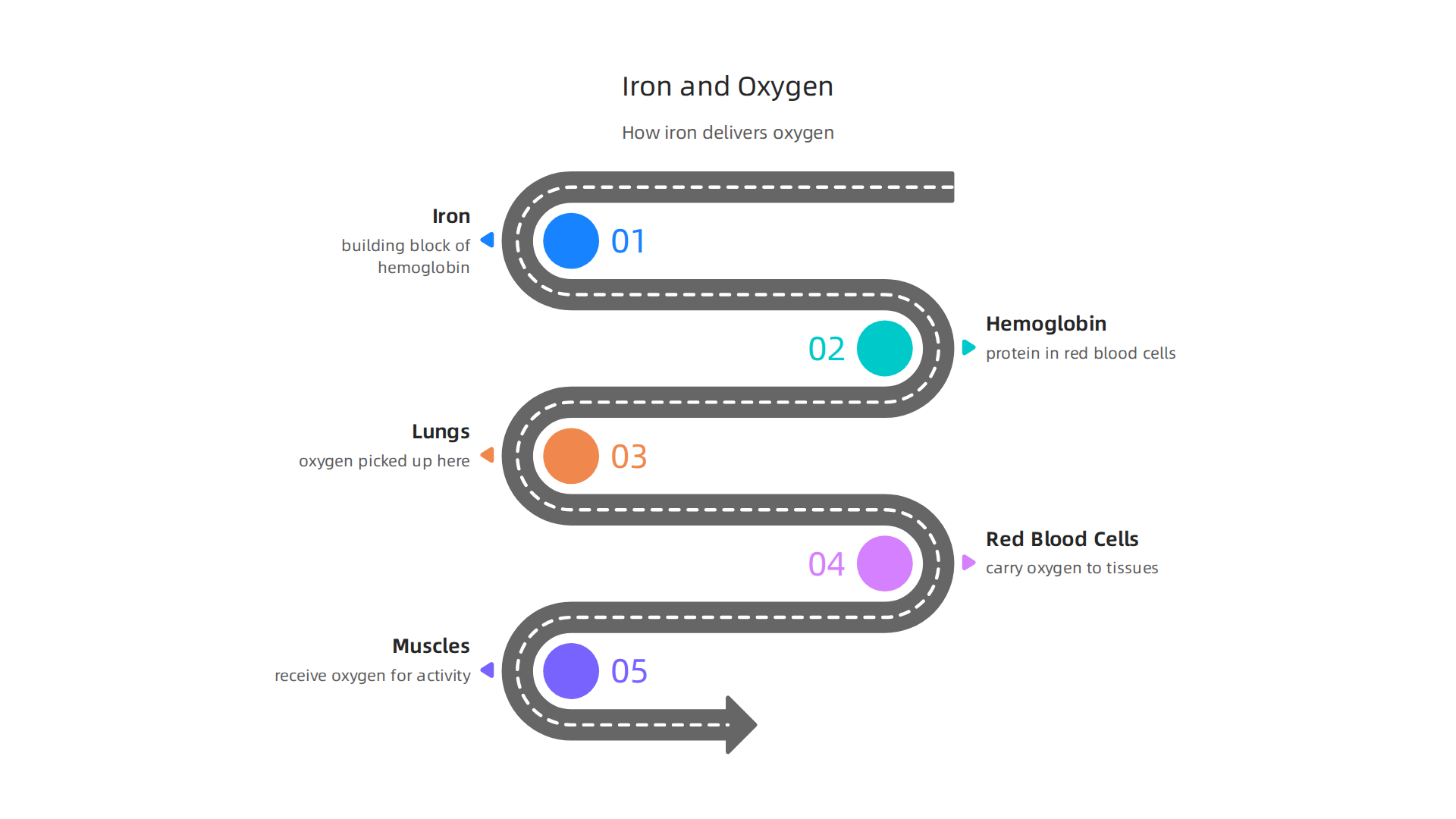 An infographic illustrating how iron, as a core component of hemoglobin, facilitates oxygen delivery from the lungs to working muscles, crucial for active men's performance.