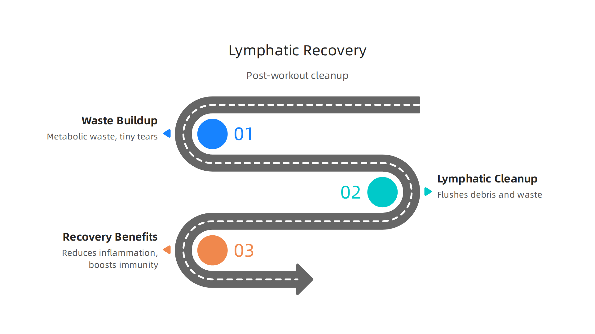 The lymphatic system acts as the body's cleanup crew, flushing waste and reducing inflammation for faster recovery.