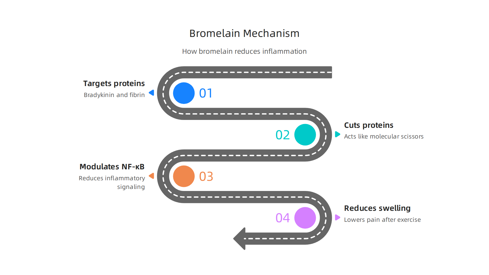 Visualizing how bromelain enzymes target and break down inflammatory proteins like bradykinin and fibrin, and modulate the NF-κB pathway to reduce swelling and pain after exercise.