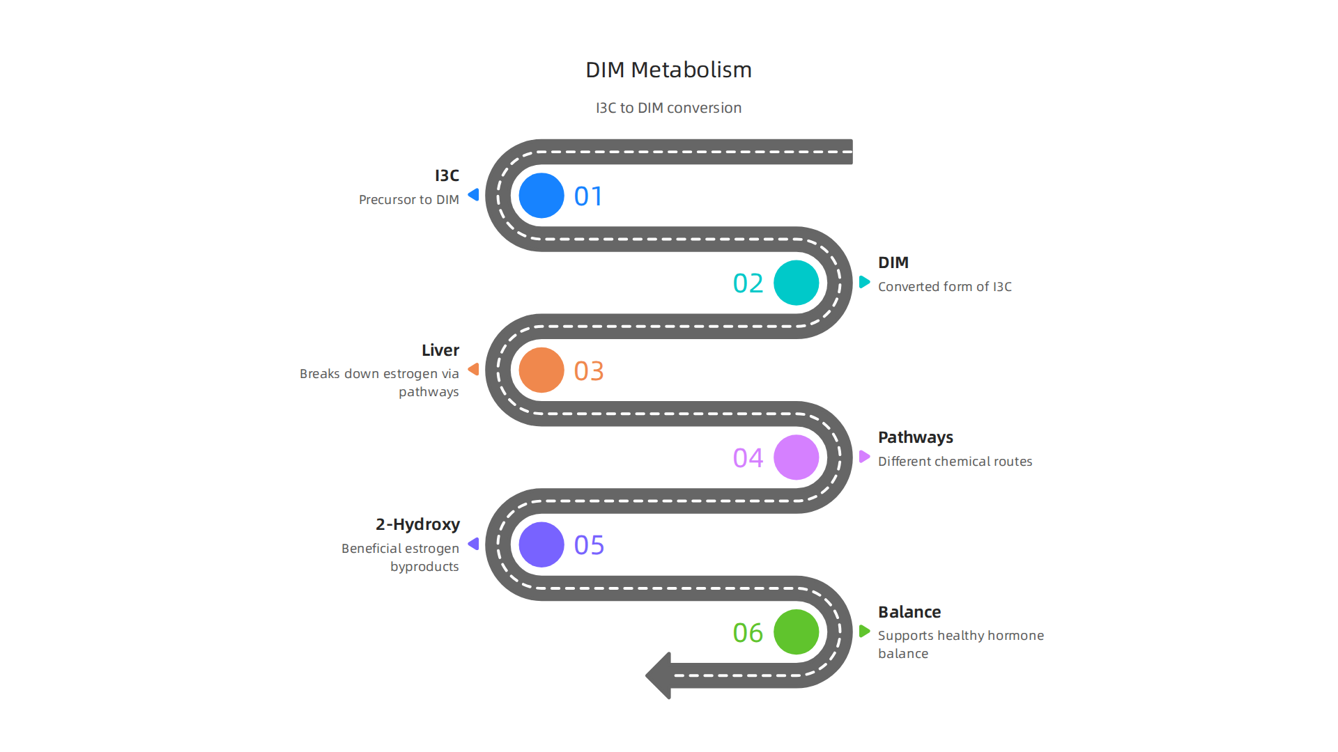 Diindolylmethane (DIM) supports healthy estrogen metabolism by encouraging the production of beneficial 2-hydroxy estrogen byproducts, vital for hormone balance.