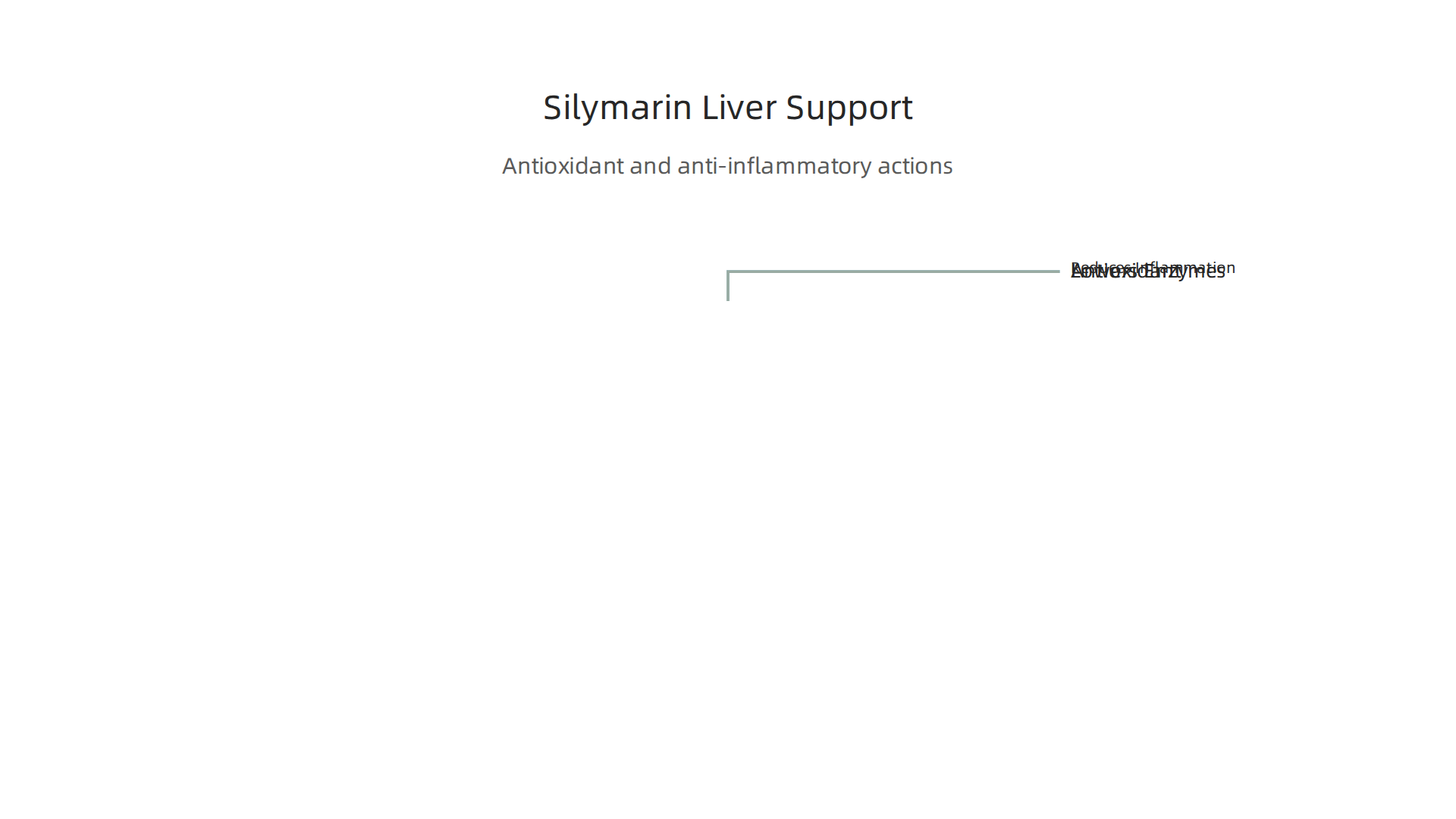 Silymarin from milk thistle acts as an antioxidant and anti-inflammatory agent, significantly reducing liver enzymes.