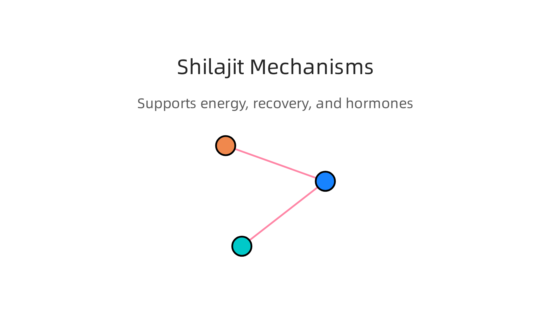 Shilajit supports athletic performance by impacting key cellular and hormonal processes within the body.