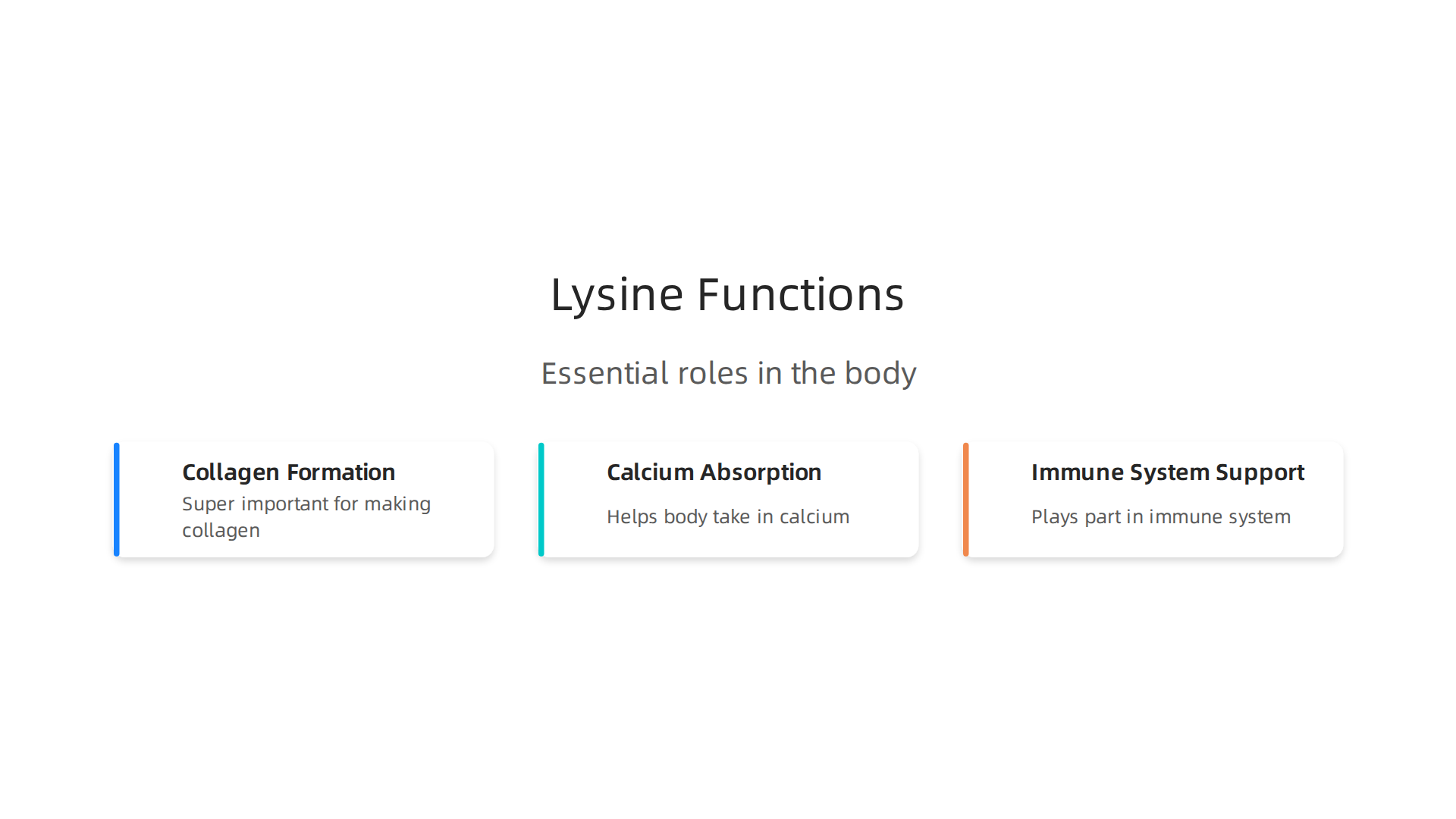 Visual representation of the essential functions lysine performs, from structural support to immune defense.