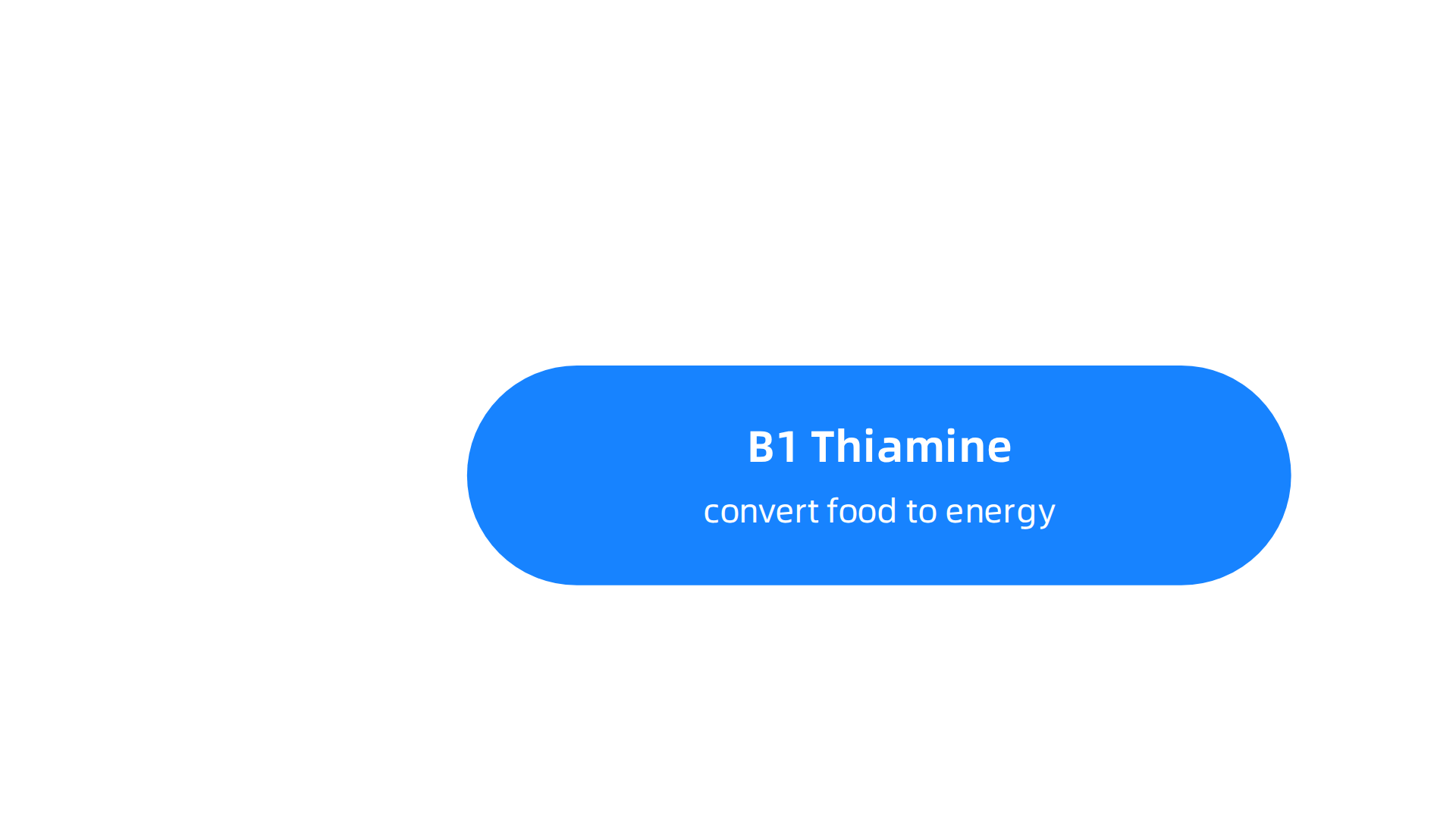 An overview of the eight essential B vitamins and their crucial roles in the body, especially for energy production.