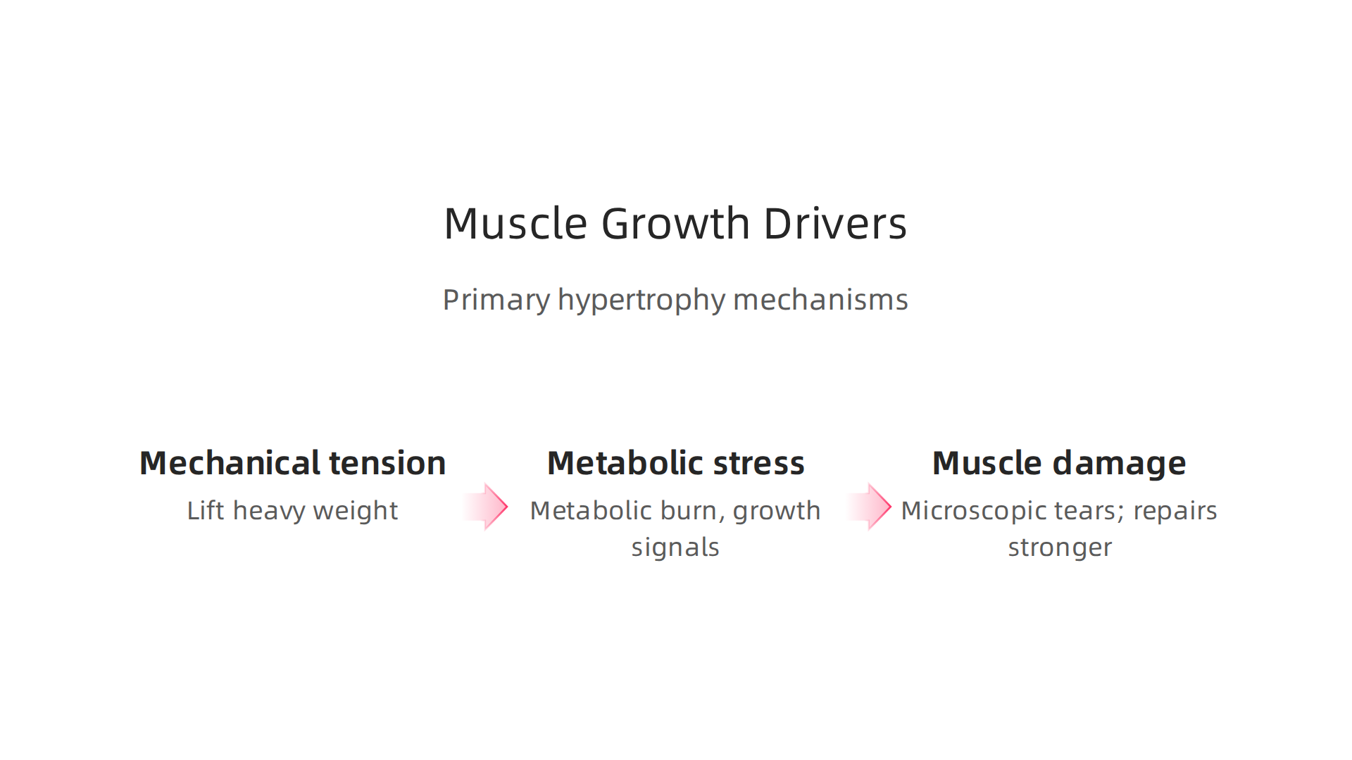 The three primary mechanisms—mechanical tension, metabolic stress, and muscle damage—that stimulate glute muscle hypertrophy.